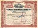Buffalo Hump Mining Company 1899 - New York
