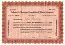 Calumet & Montana Consolidated Mining Company 1918 - 1919