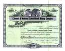 Calumet & Montana Consolidated Mining Company 1917