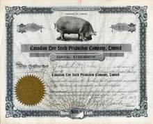 Canadian Live Stock Production Company 1919 - Pig Vignette