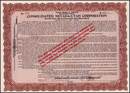 Consolidated Nevada - Utah Corporation 1913 - Gold Bond Scrip