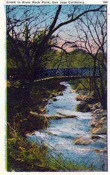 Creek in Alum Rock Park - San Jose, California