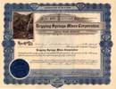 Dripping Springs Mines Corporation - Gila County, Arizona