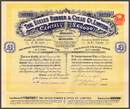 Eccles Rubber & Cycle Co., Limited 1898
