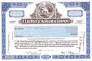 E.I. DuPont de Nemours & Company - Edgar S. Woolard, Jr. as Chairman