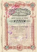 Electricity and Ice Supply Company - 1906