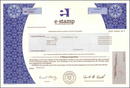 e-stamp The Internet Postage Company