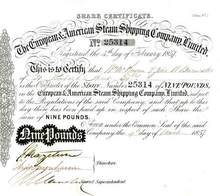 European & American Steam Shipping Company Limited 1857