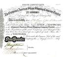European & American Steam Shipping Company Limited 1857