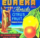 Eureka Citrus Fruit Label - Indian
