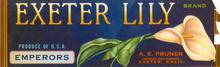 Exeter Lily Brand Label