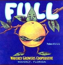 Full Citrus Label - Leaf Squeezing Orange