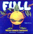 Full Citrus Label - Leaf Squeezing Orange