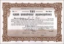 Game Breeders' Association 1912 - New York