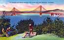 Golden Gate Bridge Postcard