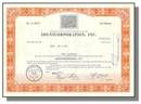 Identcorporation, Inc Stock Certificate - Fingerprint Vignette