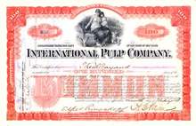 International Pulp Company 1893 - Mother and Children Vignette