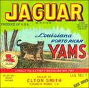 Jaguar Brand Louisiana Porto Rican Yams