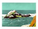 Jumbo Postcard of the Seal Rocks, San Francisco, California