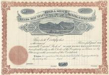 Leeds Mountain Gold & Silver Mining Company 1880's - Colorado