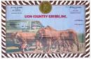 Lion Country Safari, Inc. - Lions, Tigers and Cars, oh my....
