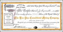 Live Pine Consolidated Mining Company 1894 - Utah Territory
