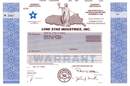 Lone Star Industries, Inc.