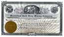 Manhattan Gold King Mining Company 1906 - Nevada