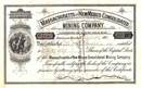 Massachusetts and New Mexico Consolidated Mining Company 1881