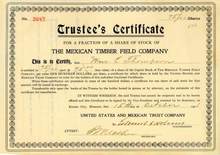 Mexican Timber Field Company 1906