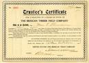 Mexican Timber Field Company 1906