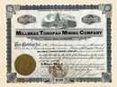 Millbrae Tonopah Mining Company 1900