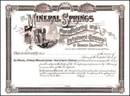 Mineral Springs Manufacturing and Investment Company - Denver Colorado - 1880's