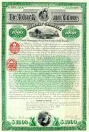Mohawk and Malone Railway Company Gold Bond 1892 - Indian Vignette
