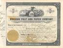 Mohican Pulp and Paper Company 1911