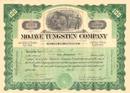 Mojave Tungsen Company 1916 - California