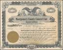 Montgomery County Colored Fair Association 1909 - Kentucky