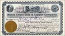 Monte Cristo Gold & Copper Company 1904