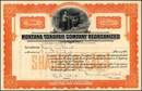 Montana Tonopah Company Reorganized