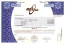 MP3.com ( Internet music company )