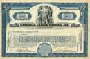 National Family Stores Stock - Depression Era