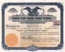 National Light and Storage Battery Company 1899