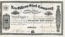 Nes-Silicon Steel Company - Rome, New York 1873