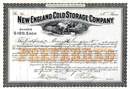New England Cold Storage Company 1913 - Polar Bear Vignette