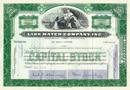 Lion Match Company Stock Certificate