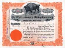 Ohio - Tonopah Mining Company 1907 - Tonopah, Nevada