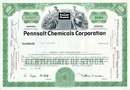 Pennsalt (ATOFINA )Chemical Corporation Stock Certificate