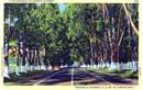 Peninsula Highway, U.S. 101