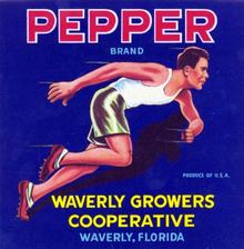 Pepper Crate Label - Waverly, Florida