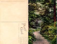 Postcard from Woodland Park Seattle, Washington